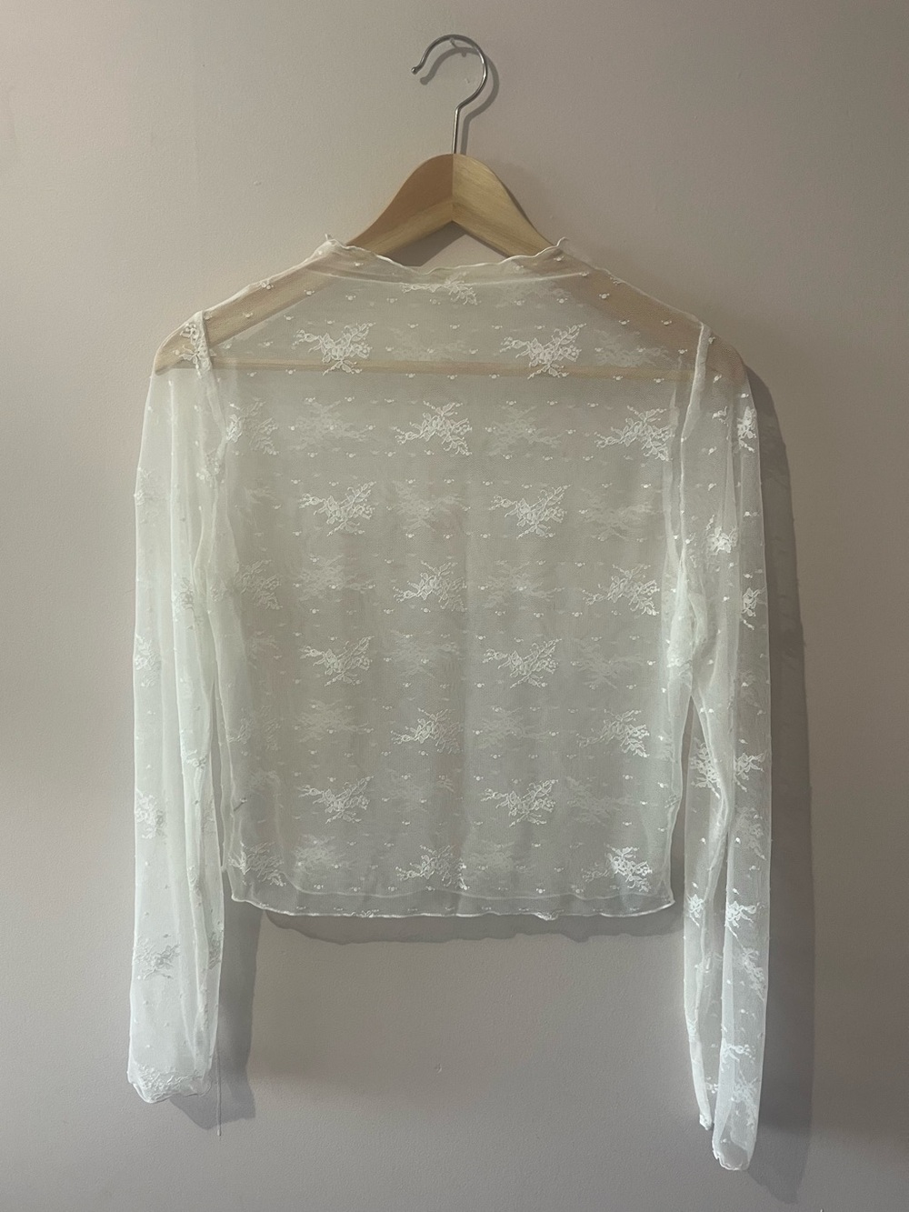American Eagle Outfitters Sheer White Embroidered Long-Sleeve Top